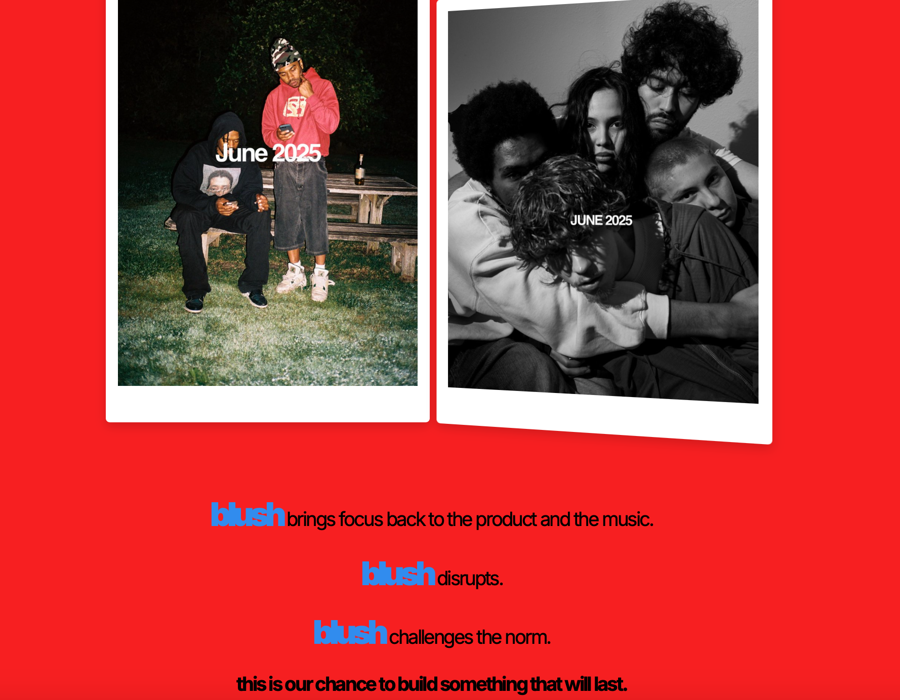 Blush Website (2025)